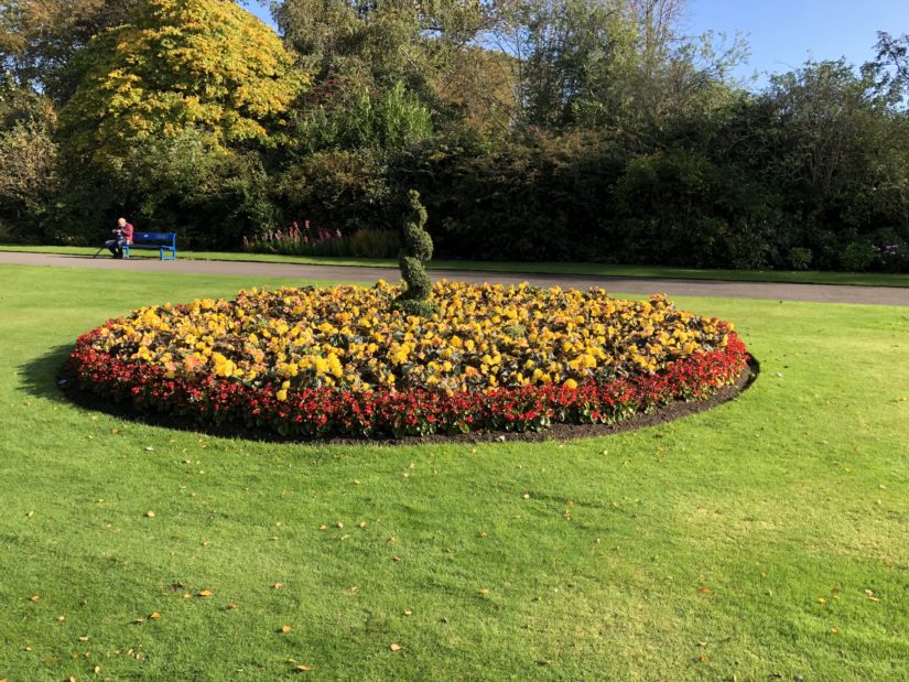 Flower arrangement in Seaton park