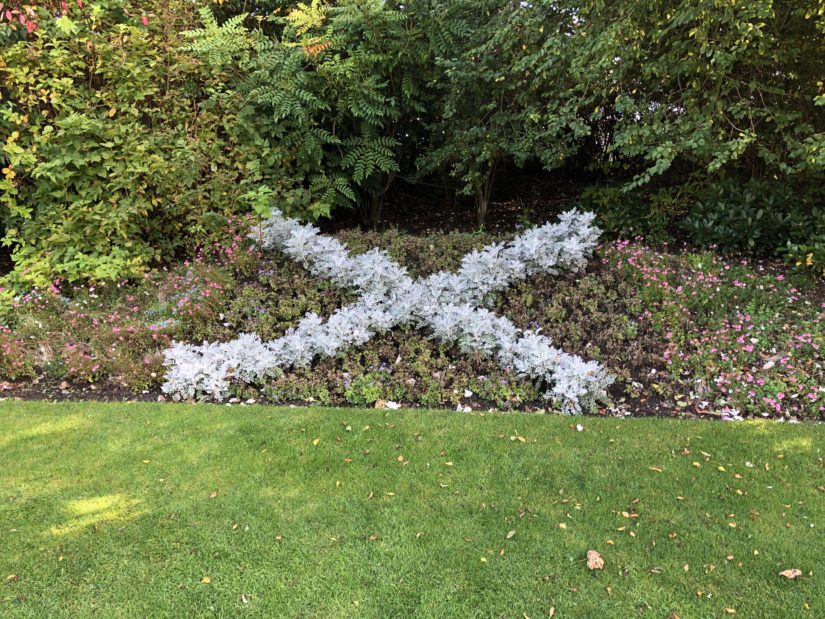 Flower bed of white flowers in the shape of a saltire